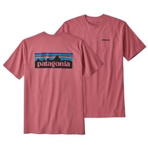 patagonia tee